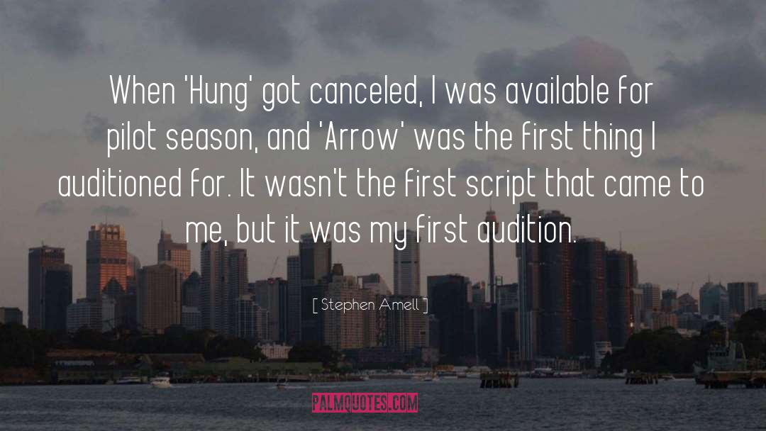 Stephen Amell Quotes: When 'Hung' got canceled, I