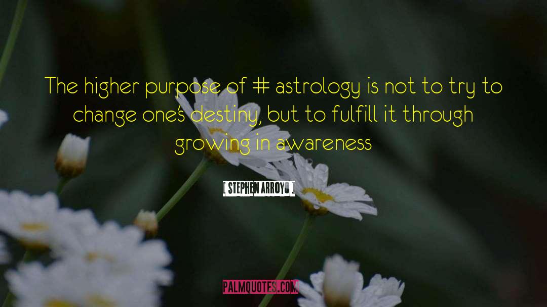 Stephen Arroyo Quotes: The higher purpose of #