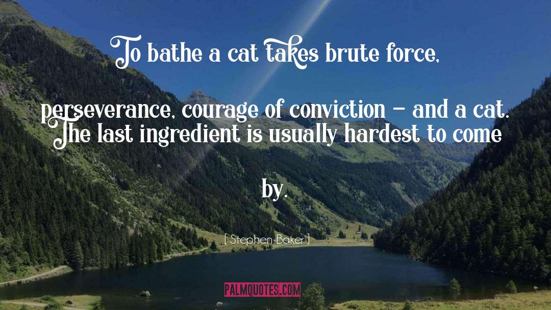 Stephen Baker Quotes: To bathe a cat takes