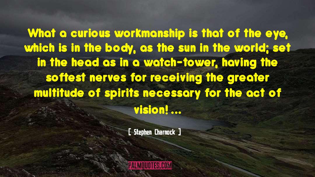 Stephen Charnock Quotes: What a curious workmanship is