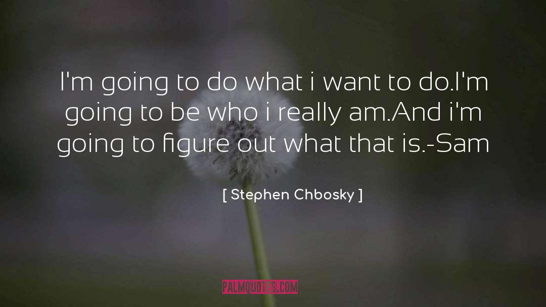 Stephen Chbosky Quotes: I'm going to do what
