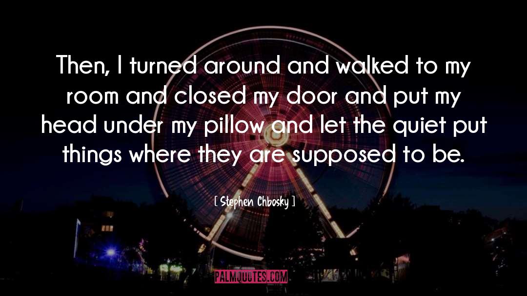 Stephen Chbosky Quotes: Then, I turned around and