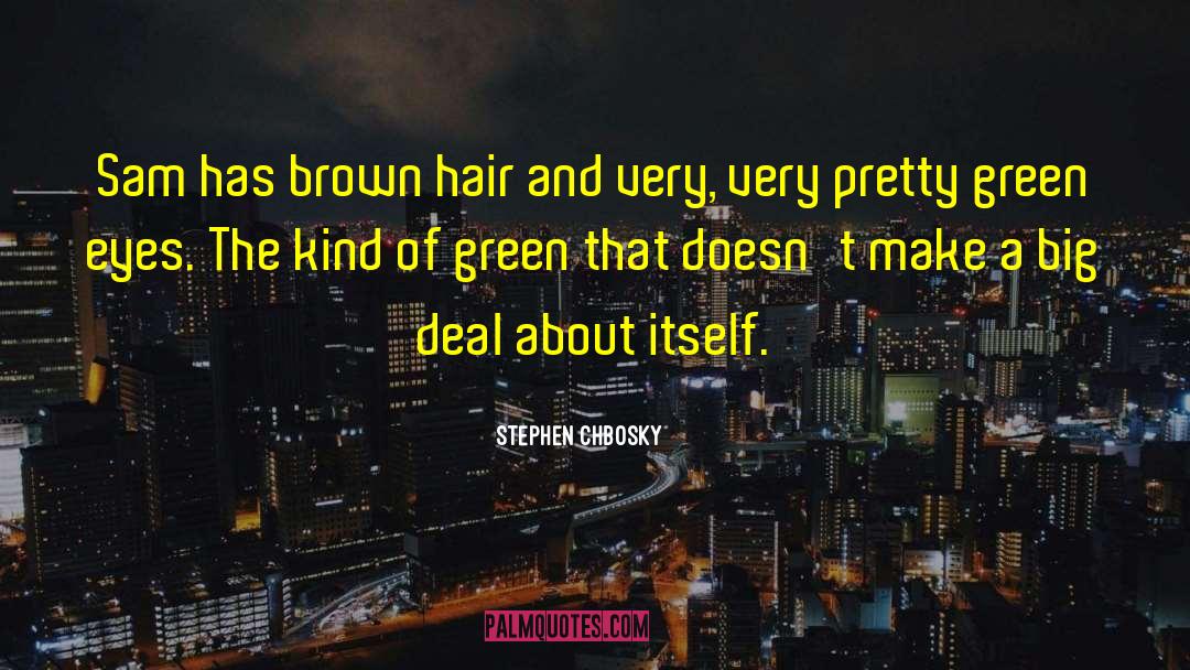 Stephen Chbosky Quotes: Sam has brown hair and