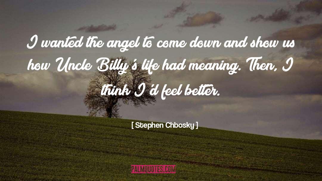 Stephen Chbosky Quotes: I wanted the angel to