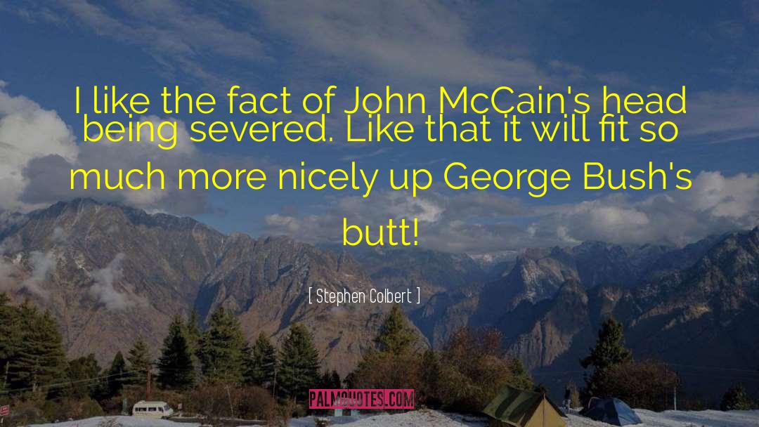 Stephen Colbert Quotes: I like the fact of