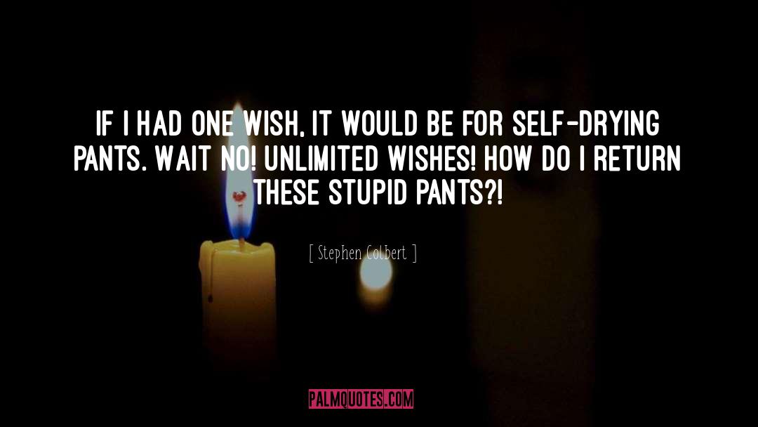 Stephen Colbert Quotes: If I had one wish,