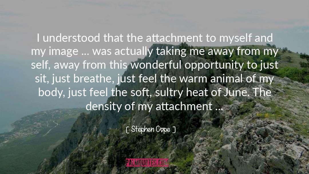 Stephen Cope Quotes: I understood that the attachment