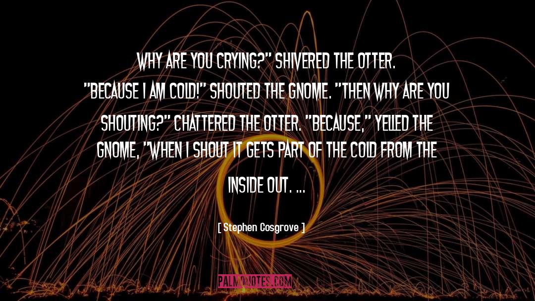Stephen Cosgrove Quotes: Why are you crying?