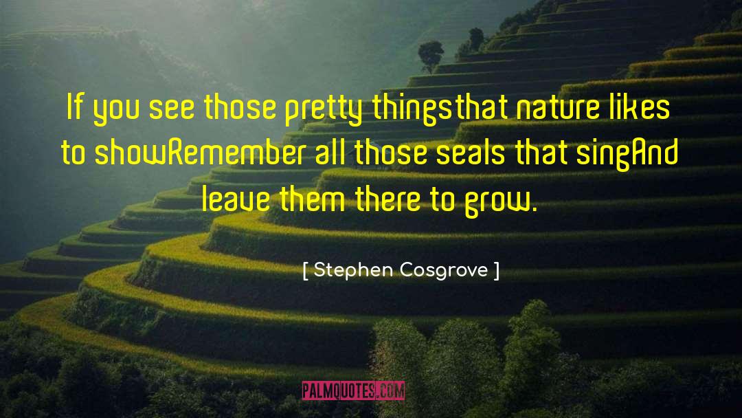 Stephen Cosgrove Quotes: If you see those pretty