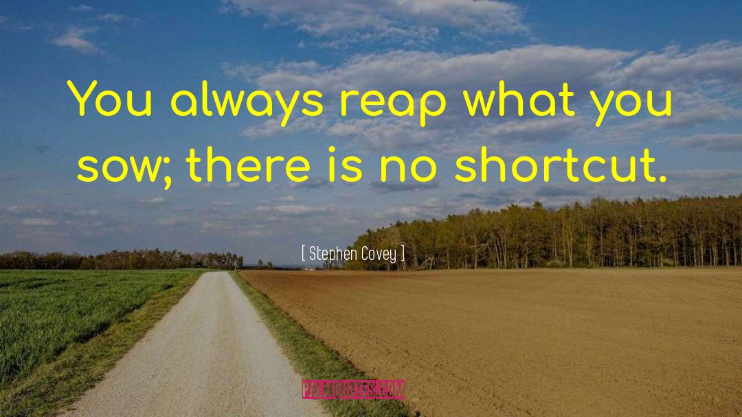 Stephen Covey Quotes: You always reap what you