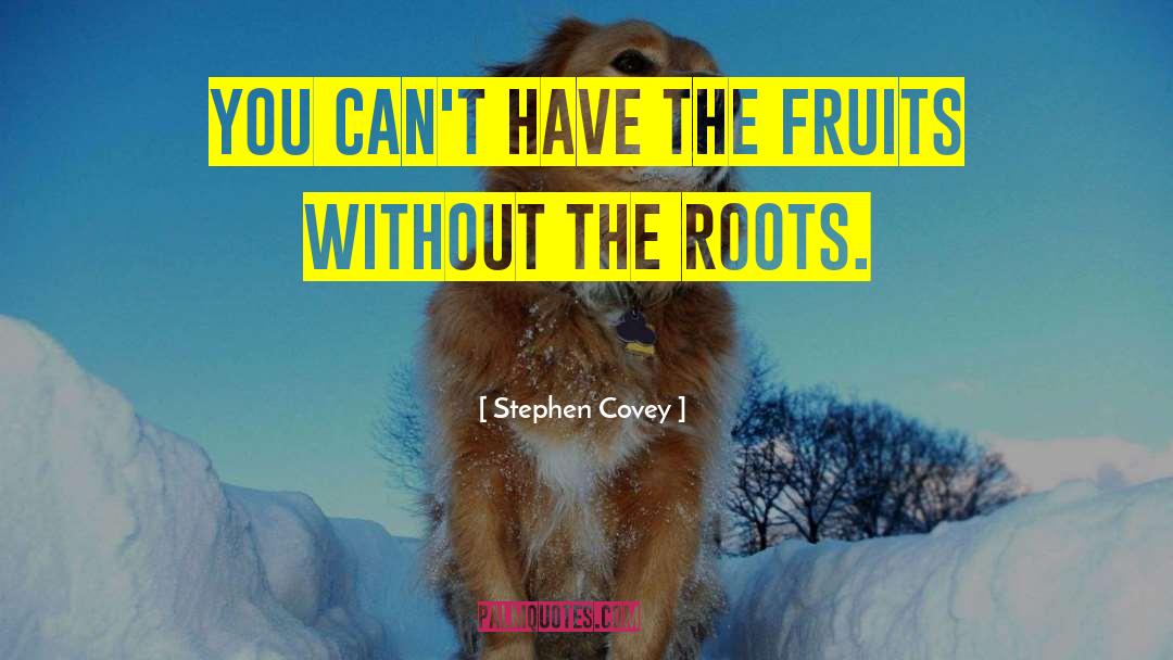 Stephen Covey Quotes: You can't have the fruits