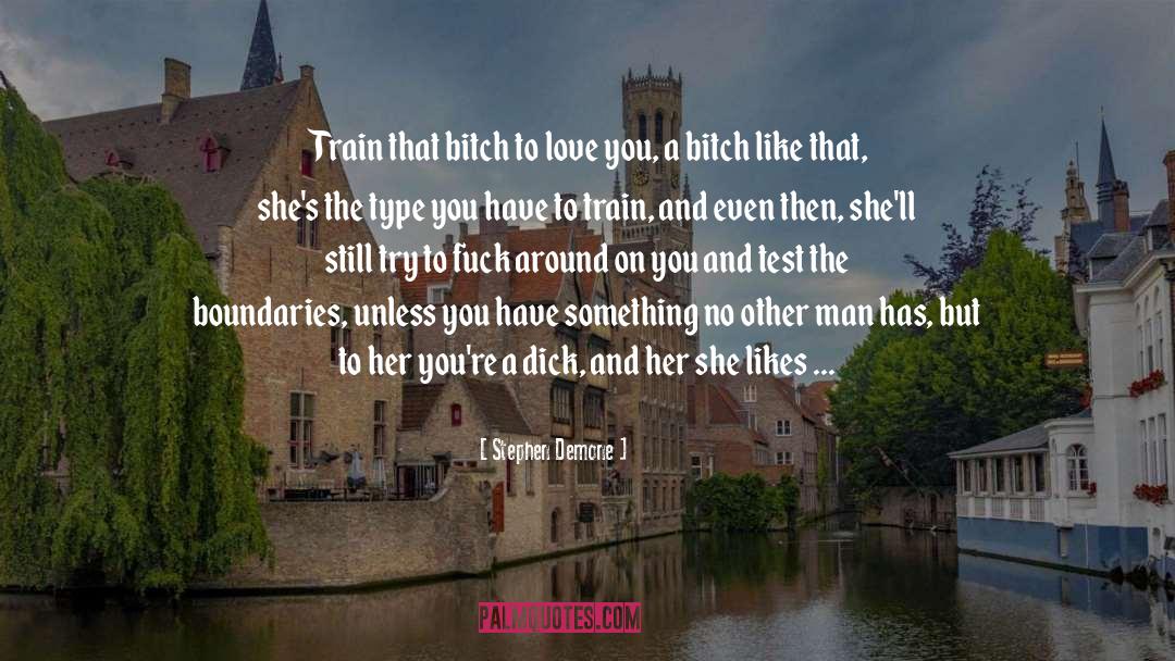 Stephen Demone Quotes: Train that bitch to love