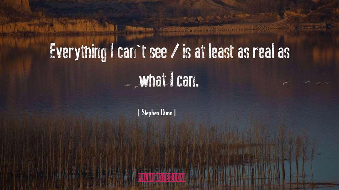 Stephen Dunn Quotes: Everything I can't see /