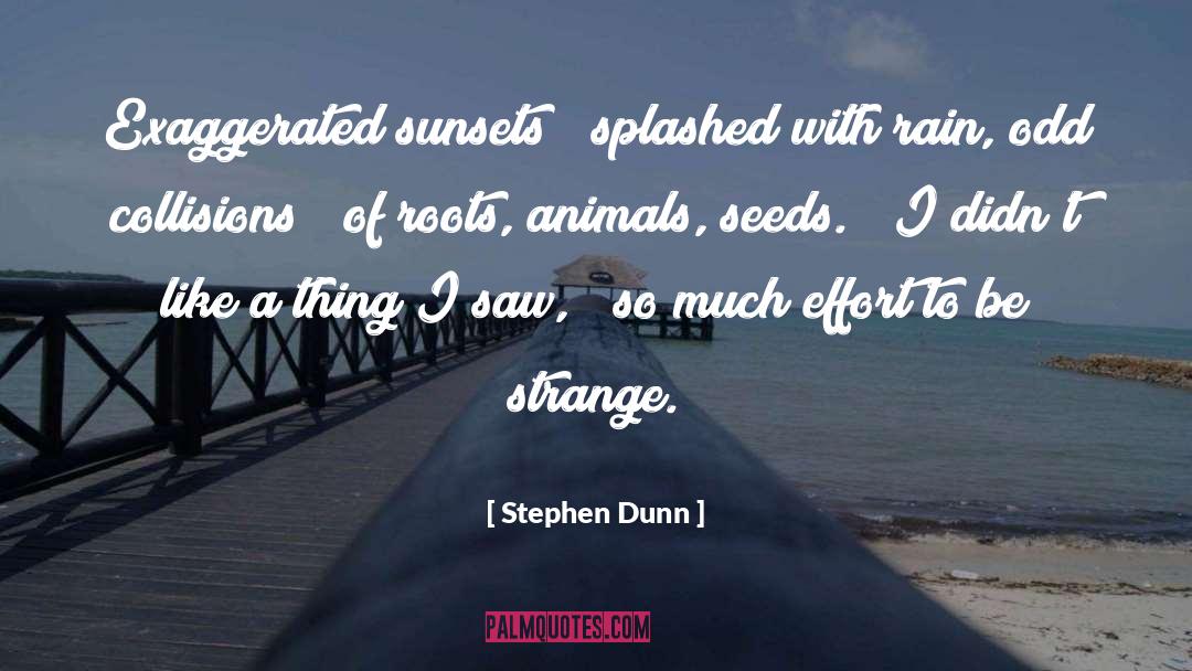 Stephen Dunn Quotes: Exaggerated sunsets / splashed with