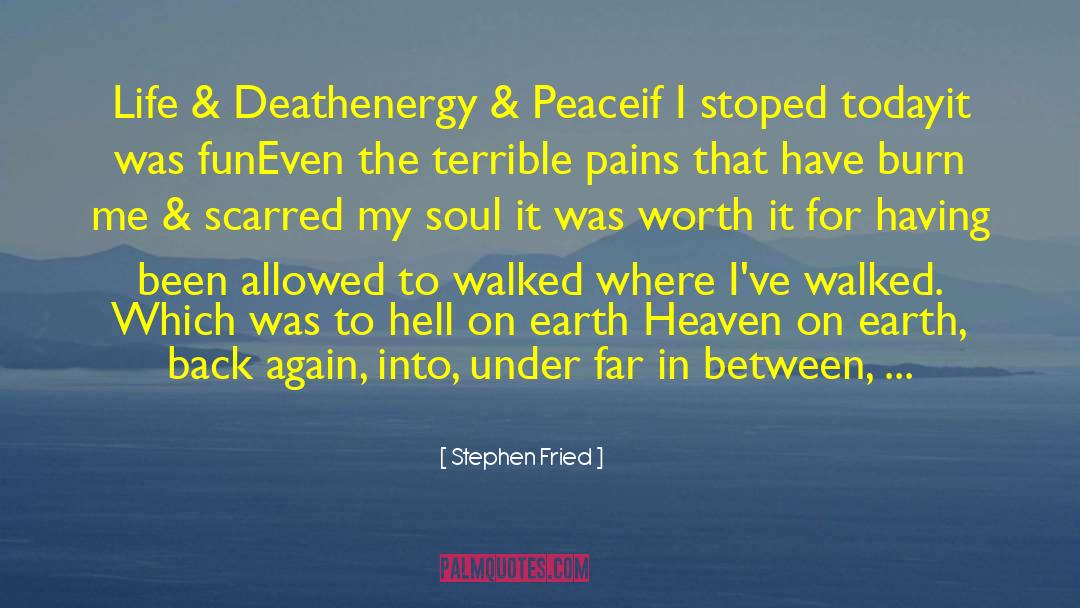 Stephen Fried Quotes: Life & Death<br>energy & Peace<br>if