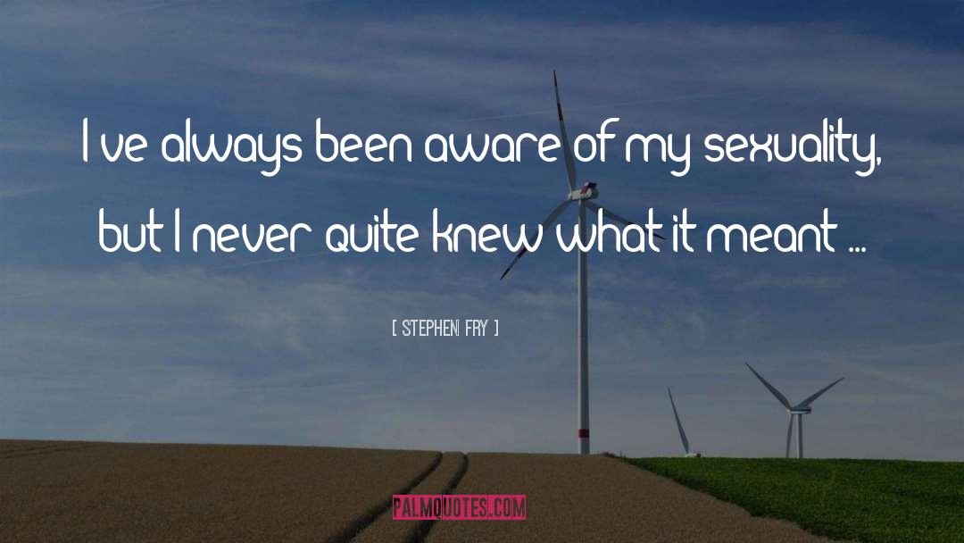 Stephen Fry Quotes: I've always been aware of