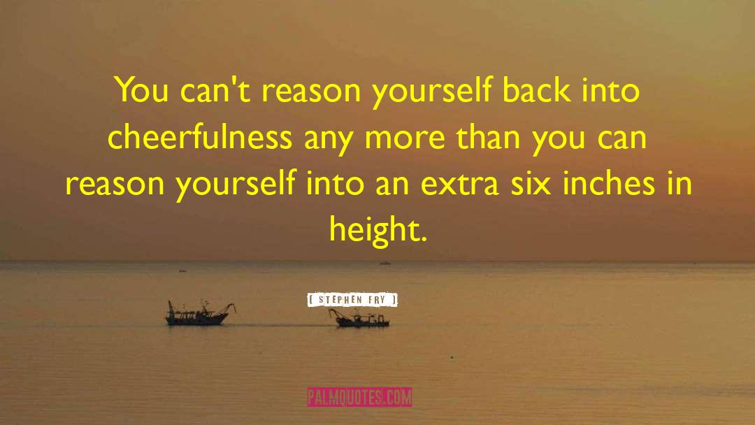 Stephen Fry Quotes: You can't reason yourself back