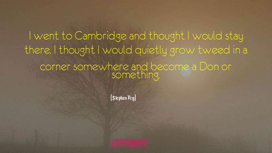 Stephen Fry Quotes: I went to Cambridge and