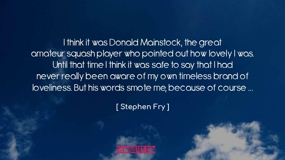 Stephen Fry Quotes: I think it was Donald