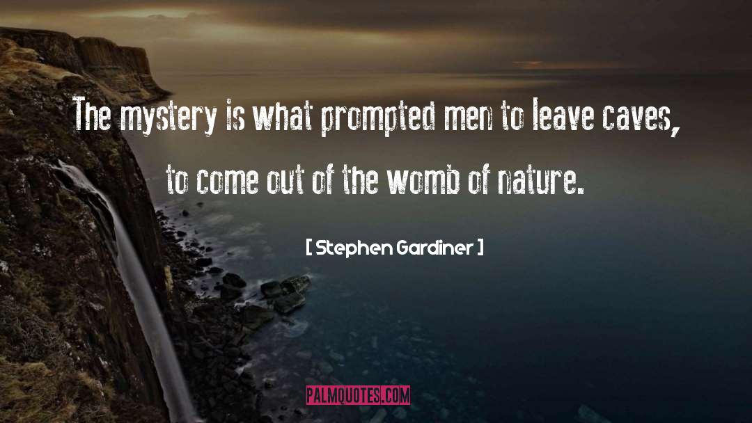 Stephen Gardiner Quotes: The mystery is what prompted