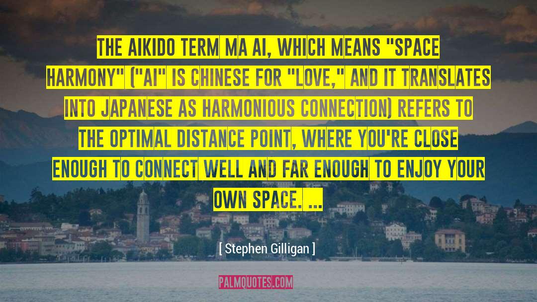 Stephen Gilligan Quotes: The aikido term ma ai,