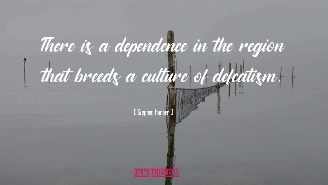 Stephen Harper Quotes: There is a dependence in