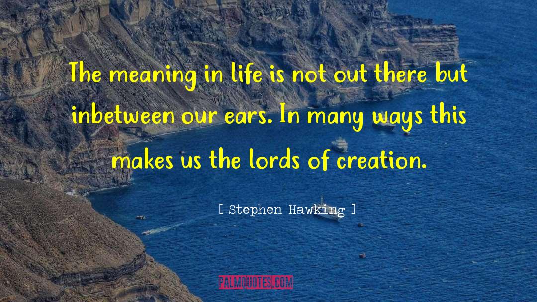 Stephen Hawking Quotes: The meaning in life is