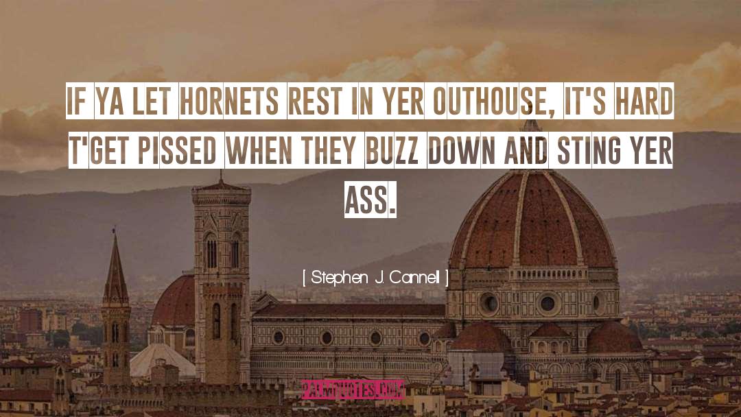 Stephen J. Cannell Quotes: If ya let hornets rest