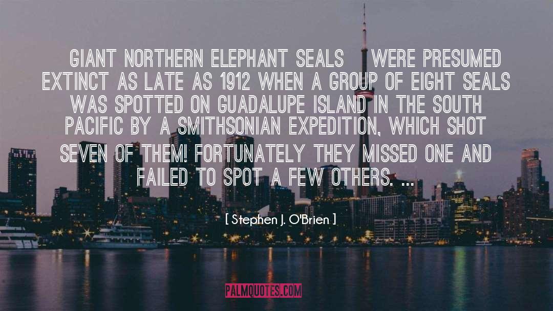 Stephen J. O'Brien Quotes: [Giant northern elephant seals] were