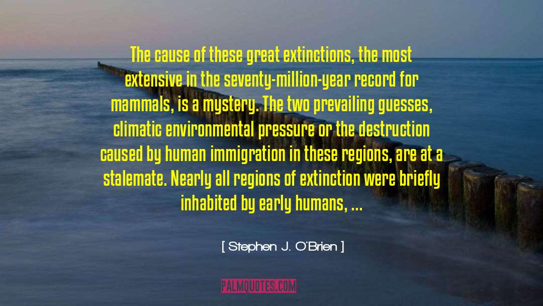 Stephen J. O'Brien Quotes: The cause of these great