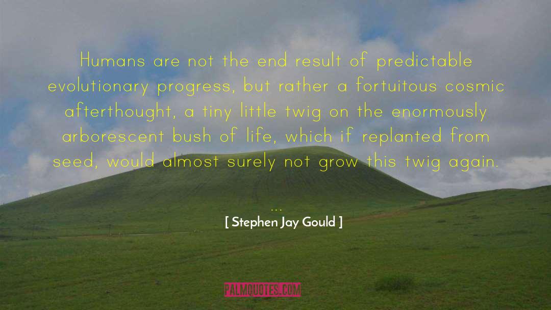 Stephen Jay Gould Quotes: Humans are not the end