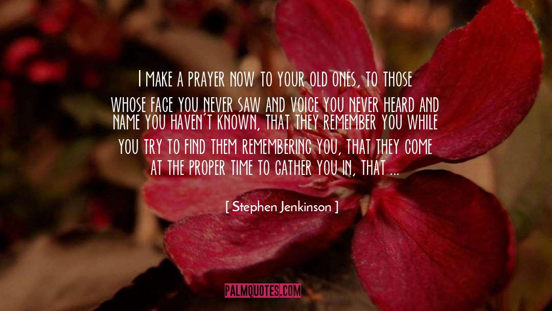 Stephen Jenkinson Quotes: I make a prayer now