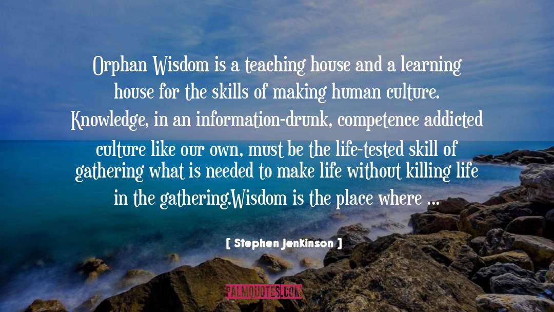 Stephen Jenkinson Quotes: Orphan Wisdom is a teaching