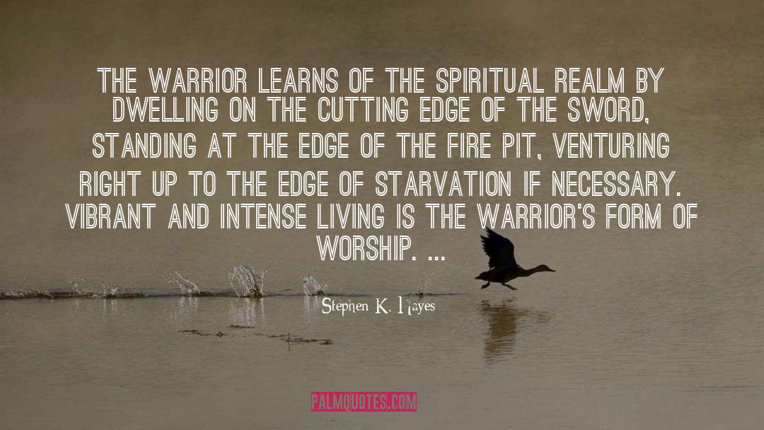 Stephen K. Hayes Quotes: The warrior learns of the