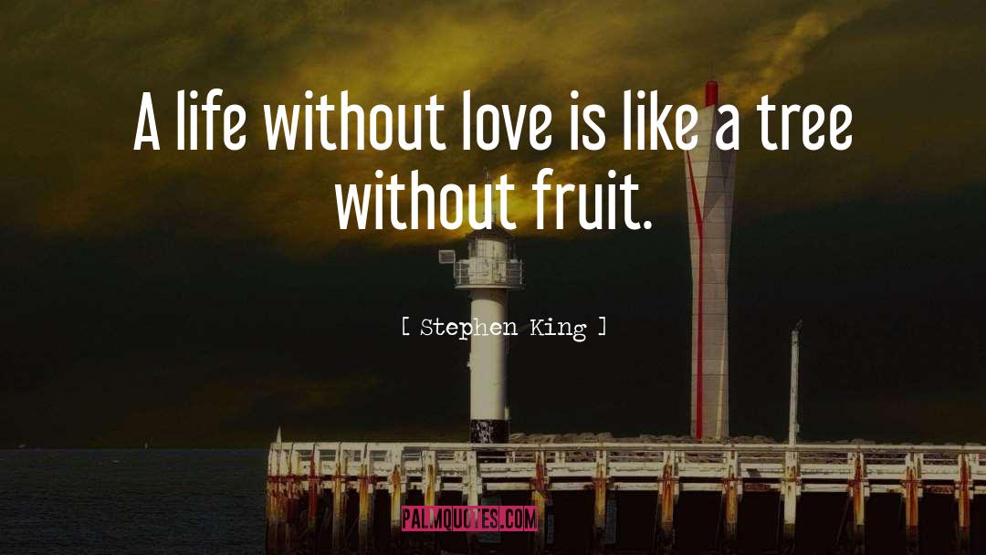 Stephen King Quotes: A life without love is