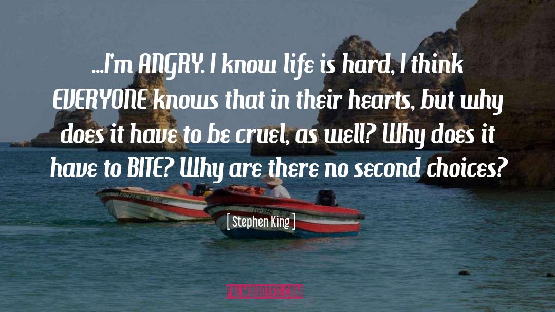 Stephen King Quotes: ...I'm ANGRY. I know life