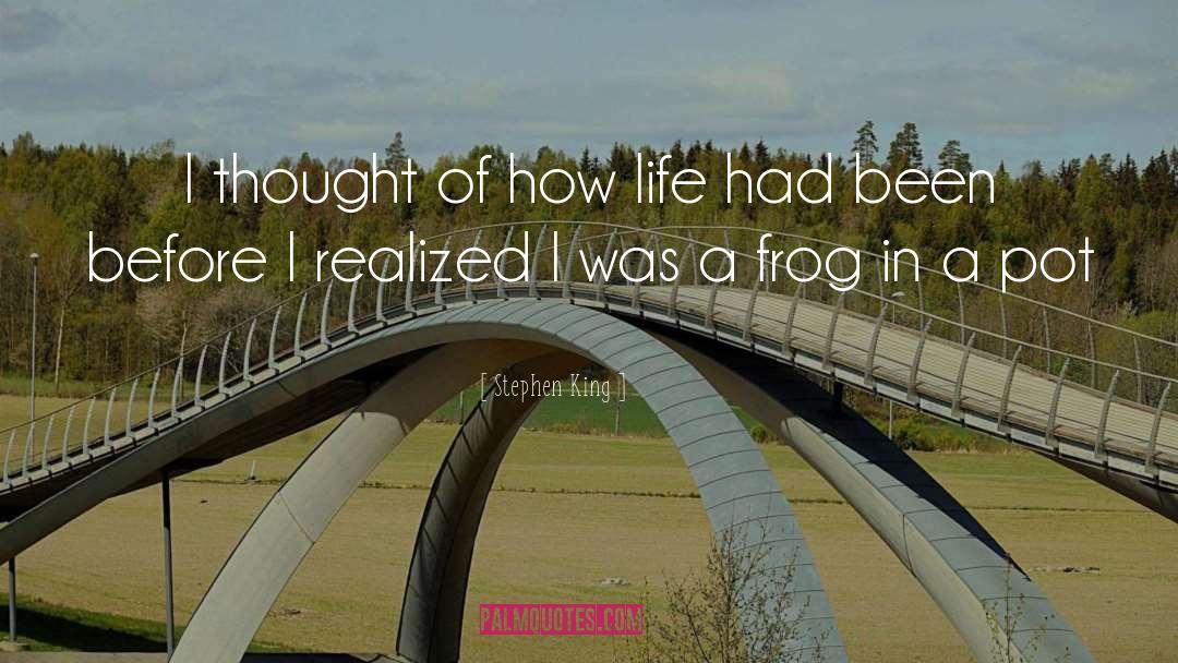 Stephen King Quotes: I thought of how life