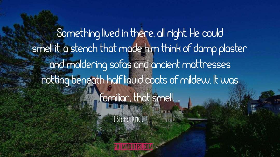 Stephen King Quotes: Something lived in there, all