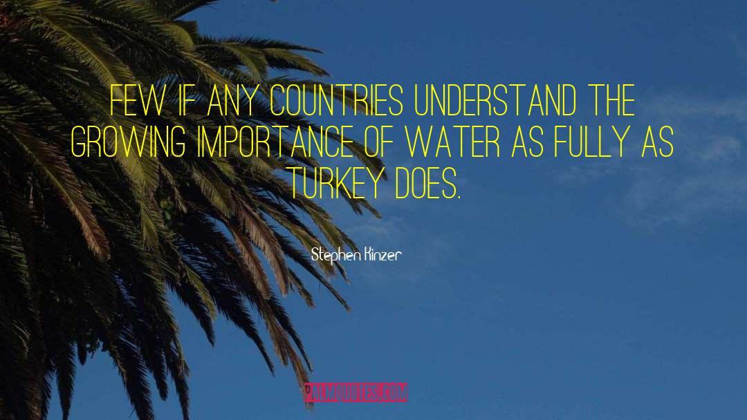 Stephen Kinzer Quotes: Few if any countries understand