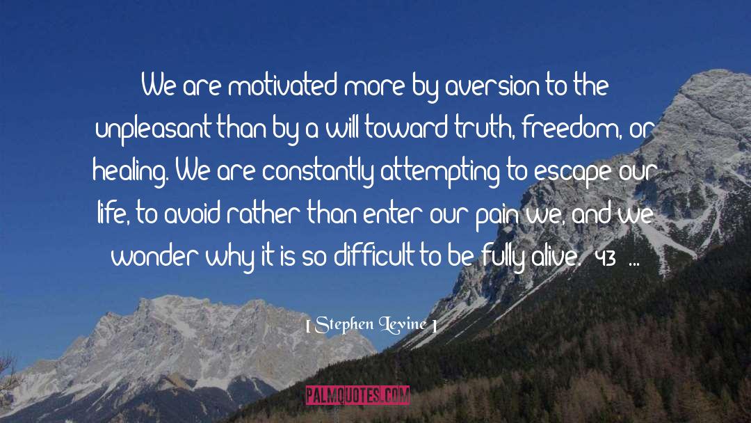 Stephen Levine Quotes: We are motivated more by