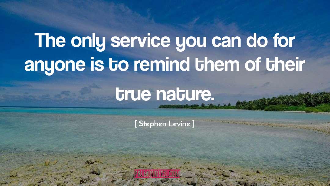 Stephen Levine Quotes: The only service you can