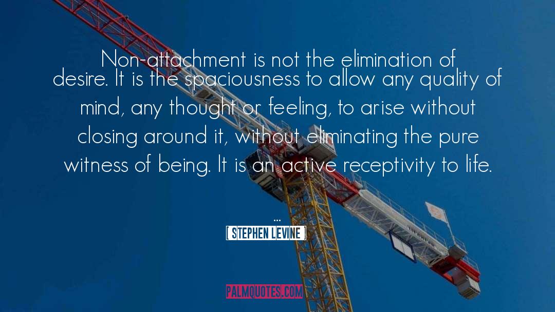 Stephen Levine Quotes: Non-attachment is not the elimination