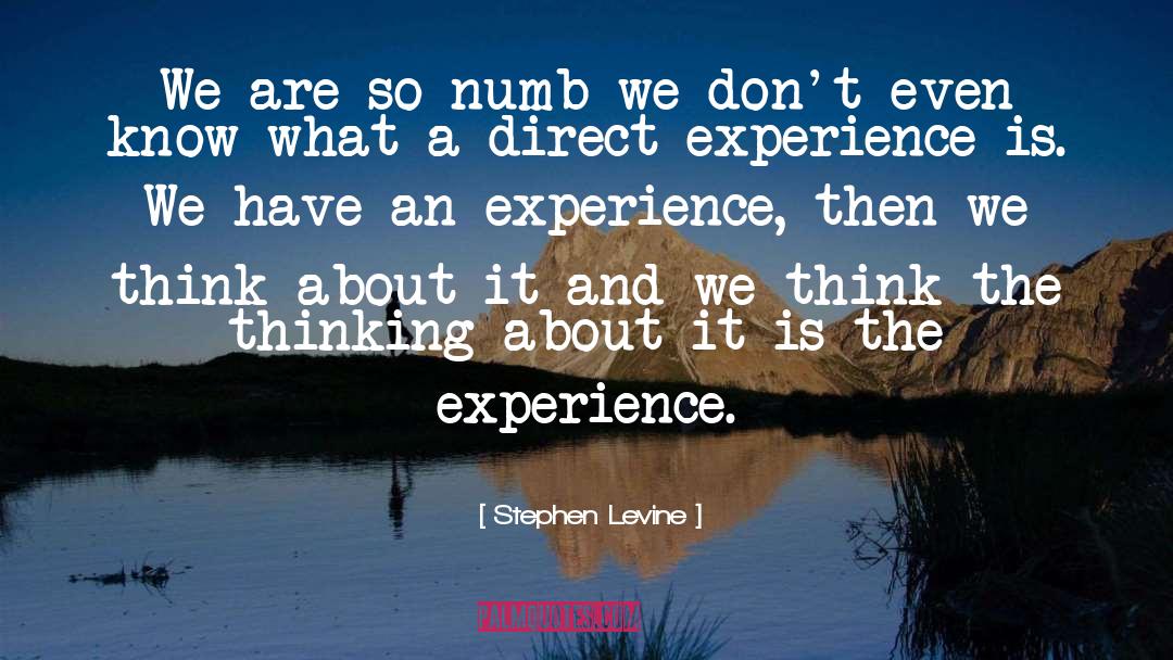 Stephen Levine Quotes: We are so numb we
