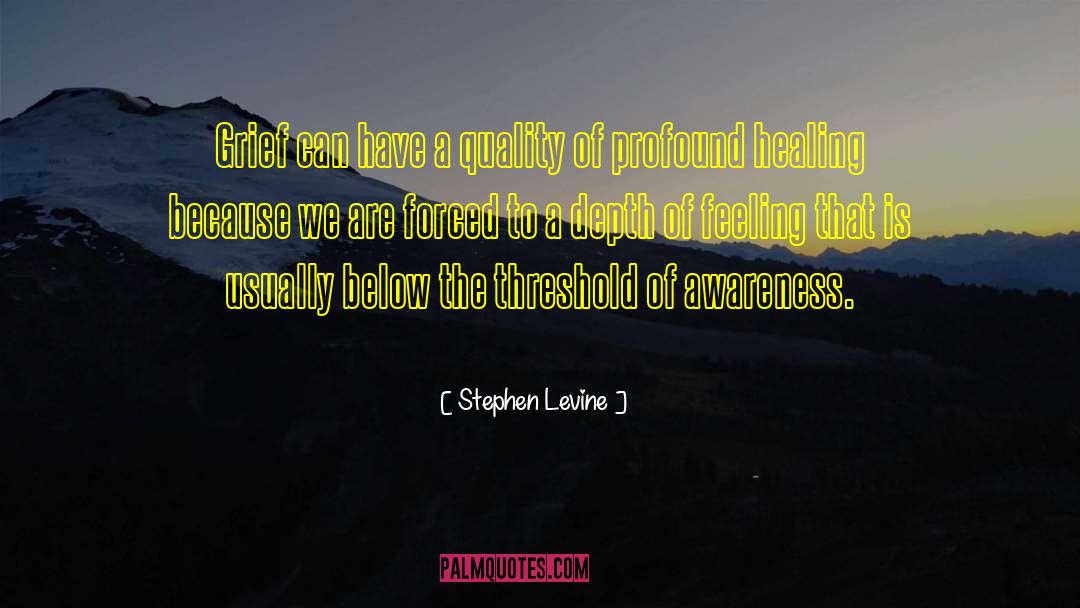 Stephen Levine Quotes: Grief can have a quality