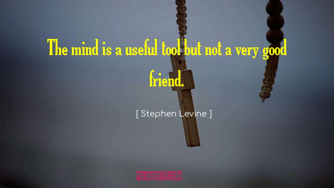 Stephen Levine Quotes: The mind is a useful