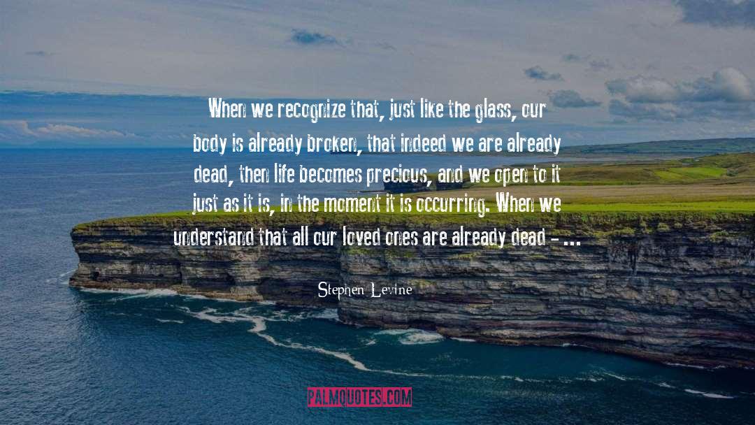 Stephen Levine Quotes: When we recognize that, just