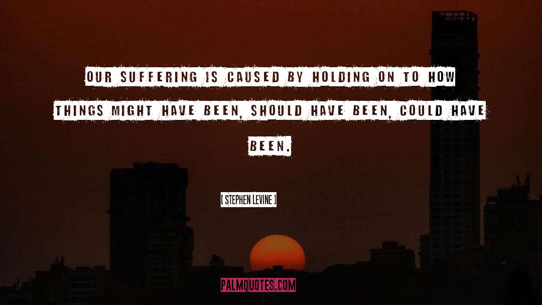 Stephen Levine Quotes: Our suffering is caused by