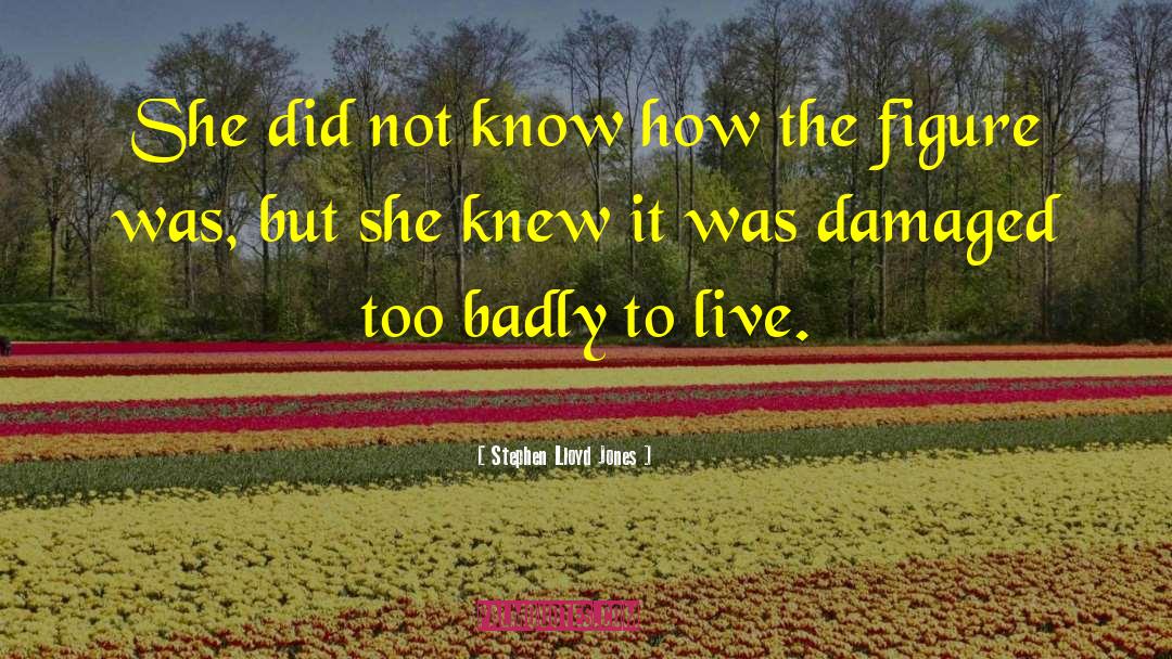 Stephen Lloyd Jones Quotes: She did not know how