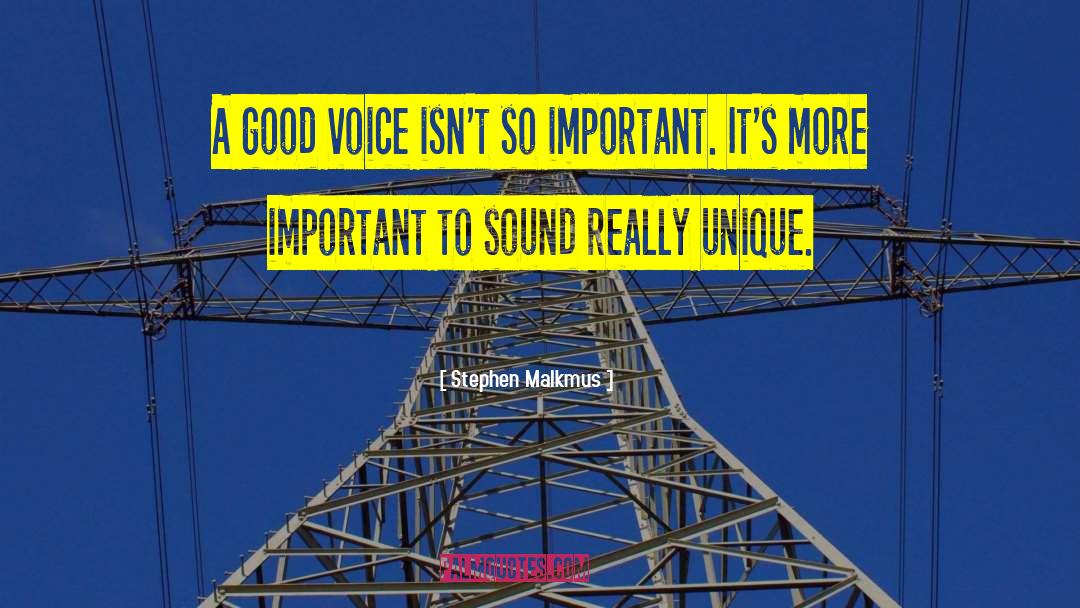 Stephen Malkmus Quotes: A good voice isn't so