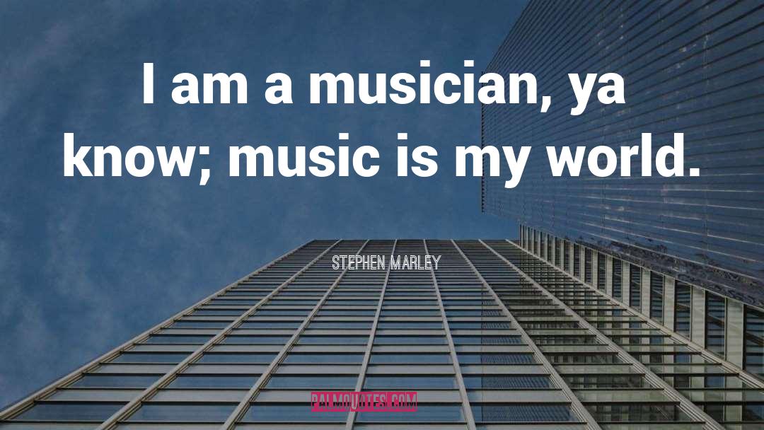 Stephen Marley Quotes: I am a musician, ya
